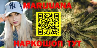индика Гусь-Хрустальный