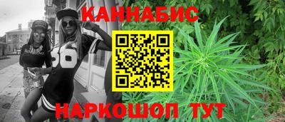 индика Гусь-Хрустальный