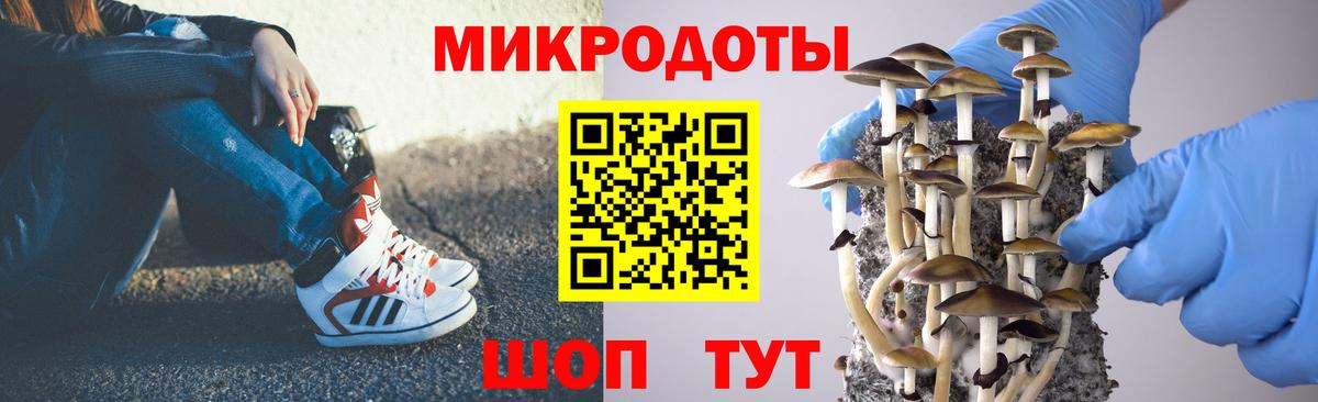 Междуреченск  Псилоцибиновые грибы MAGIC MUSHROOMS  Вход с VPN 